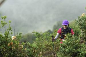 BIB: 
                            <button type="button" onclick="openModal(24739666)" class="btn btn-primary btn-sm float-right btn-popup" data-toggle="modal" data-target=".modal-high-quality">
                        <i class="fas fa-shopping-cart"></i> Add to Cart
                    </button>
                                            <button type="button" onclick="isThisMe(24739666, true)" class="btn btn-success btn-sm float-right btn-popup btn-isme hidden" data-toggle="tooltip" data-placement="bottom" title="นี่คือรูปของคุณใช่ไหม คลิกที่นี่เพื่อเอาเข้าอัลบั้ม">
                        <i class="fas fa-plus"></i> Add to album
                    </button>
                    <button type="button" onclick="isThisMe(24739666, false)" class="btn btn-warning btn-sm float-right btn-popup btn-isnotme hidden">
                        <i class="fas fa-ban"></i> Remove from album
                    </button>